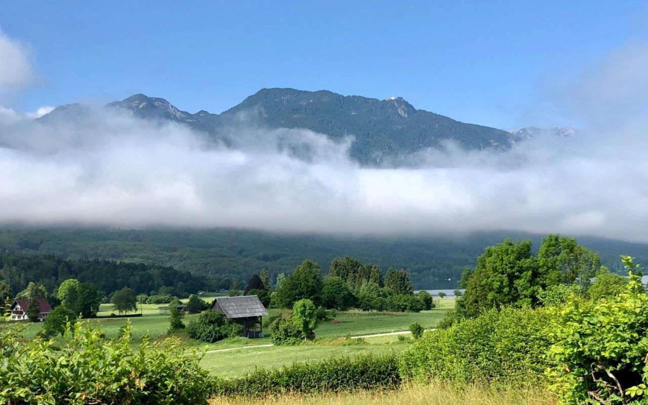 Apartments Vila Jelka Bohinji-tó Kültér fotó
